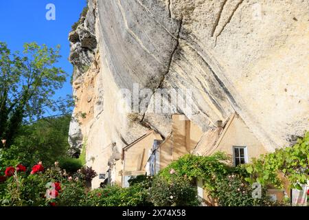 Die prähistorische Stätte Laugerie-Basse, ein Felsvorhang in der Gemeinde Les Eyzies in Dordogne, der Welthauptstadt der Vorgeschichte. Der Fluss Vézère fließt bei Stockfoto