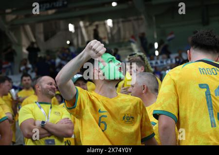 Doha, Katar. 22. november 2022. Australische Fans während des Spiels zwischen Frankreich und Australien, Gruppe D, FIFA Fussball-Weltmeisterschaft Katar 2022. Stockfoto