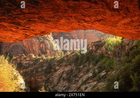 Am späten Nachmittag erleuchtet das Licht einen Felsüberhang entlang des Canyon Overlook Trail im Zion National Park in Springdale, Utah. (USA) Stockfoto