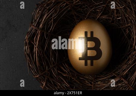 Goldenes Ei mit einem Bitcoin-Zeichen im Nest auf schwarzem Hintergrund. Minimales Investitionskonzept. Stockfoto