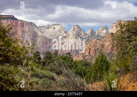 Der West Temple and Towers of the Virgin vom Mount Carmel Highway im Zion National Park, Utah, USA am 25. April 2024 Stockfoto