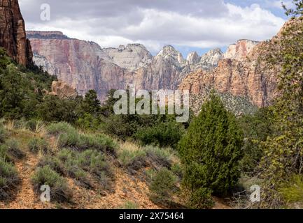 Der West Temple and Towers of the Virgin vom Mount Carmel Highway im Zion National Park, Utah, USA am 25. April 2024 Stockfoto