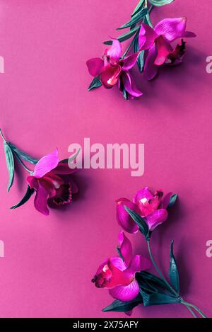 Wunderschöne rosafarbene Orchideen, die auf einem hellen rosafarbenen Hintergrund verstreut sind, für elegante Blumenpräsentation Stockfoto