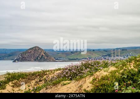 Blick auf Morro Rock von den Dünen am Sandspit Beach, Montana de Oro State Park, Kalifornien Stockfoto