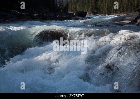 Der Mistaya River liegt am Ende des Mistaya Canyons am Icefield's Parkway im Banff National Park in Alberta in den kanadischen Rocky Mountains. Stockfoto