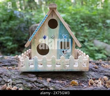 Sammlung von Vogelhäusern, die von Kindern gebaut und auf umgestürzten Bäumen im Wald platziert wurden. Stockfoto