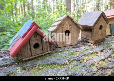 Sammlung von Vogelhäusern, die von Kindern gebaut und auf umgestürzten Bäumen im Wald platziert wurden. Stockfoto