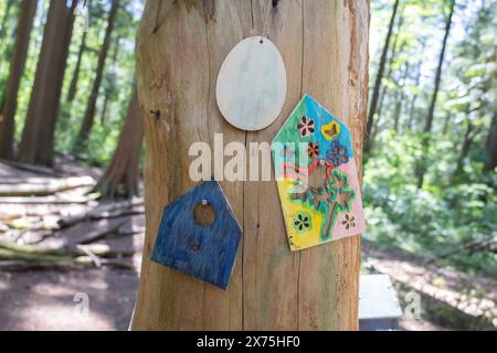 Sammlung von Vogelhäusern, die von Kindern gebaut und auf umgestürzten Bäumen im Wald platziert wurden. Stockfoto