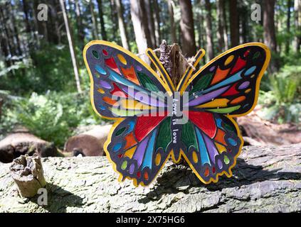 Sammlung von Vogelhäusern, die von Kindern gebaut und auf umgestürzten Bäumen im Wald platziert wurden. Stockfoto