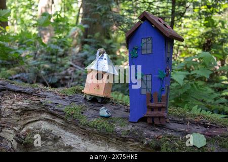 Sammlung von Vogelhäusern, die von Kindern gebaut und auf umgestürzten Bäumen im Wald platziert wurden. Stockfoto