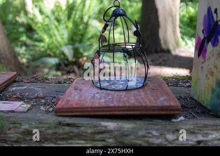 Sammlung von Vogelhäusern, die von Kindern gebaut und auf umgestürzten Bäumen im Wald platziert wurden. Stockfoto