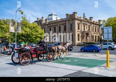 Touristen, die eine Fahrt mit einem Pferdekutscher auf den Straßen von Hobart genießen, mit dem Maritime Museum of Tasmania im Hintergrund, Hobart Tasmania Stockfoto