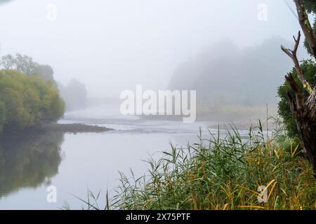 Nebeliger Morgen auf dem Mersey River in Latrobe, Tasmanien Stockfoto