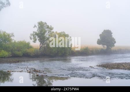 Nebeliger Morgen auf dem Mersey River in Latrobe, Tasmanien Stockfoto