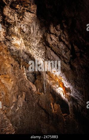 Das Innere der Marakoopa Cave, Mole Creek Tasmanien Stockfoto