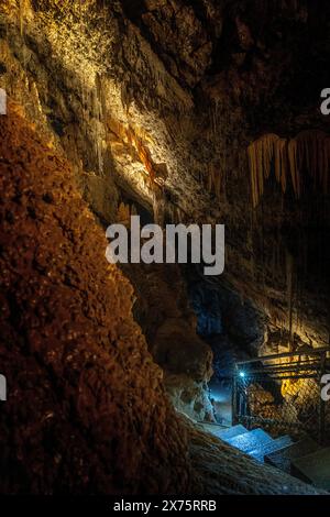 Das Innere der Marakoopa Cave, Mole Creek Tasmanien Stockfoto