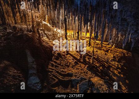 Das Innere der Marakoopa Cave, Mole Creek Tasmanien Stockfoto