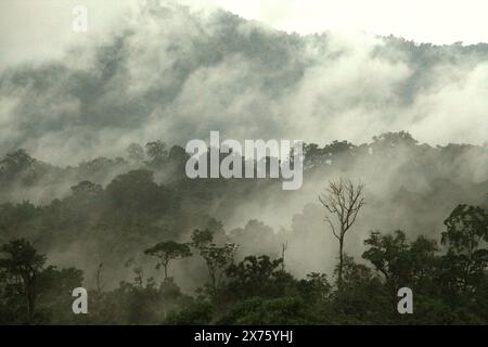 Regenwald am Fuße des Mount Tangkoko und Mount Duasudara (Dua Saudara) in Bitung, Nord-Sulawesi, Indonesien. Stockfoto