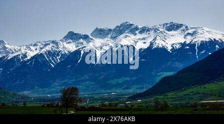 Titel: Schattiges grünes Tal in den Alpen im Trentino mit gigantischen schneebedeckten Gipfeln im Hintergrund Stockfoto