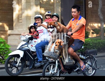 Ho Chi Minh City, Vietnam - Juni 02, 2019; der Mensch nimmt zwei Hunde für eine Fahrt auf Motor-Zyklus in der Mitte des ity am Sonntagmorgen während Familie nimmt Stockfoto