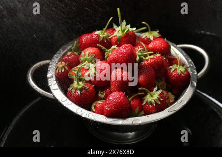 Metallsieb mit frischen nassen Erdbeeren im Waschbecken Stockfoto