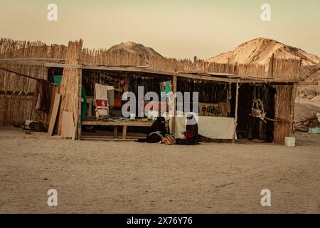 Ägypten, Arabische Wüste Januar 2024, Warenverkäufer zelten in der Arabischen Wüste in Ägypten Stockfoto