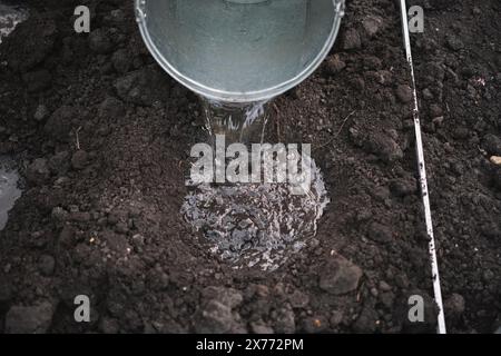 Nahaufnahme eines Eimers mit Wasser, das den Boden bewässert, bevor Setzlinge in Gewächshäusern gepflanzt werden, Ackerbau- und Gartenkonzept, Erdtagsposter Stockfoto