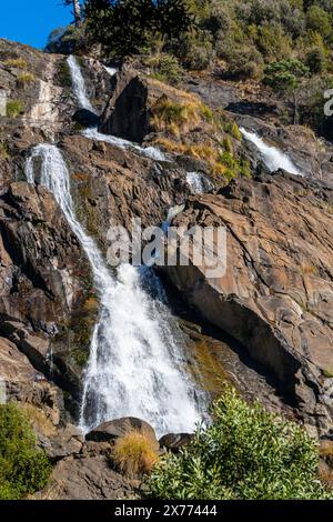 St. Columba Falls, Pyengana, Tasmanien Stockfoto