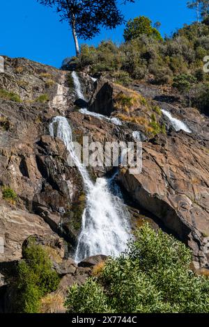 St. Columba Falls, Pyengana, Tasmanien Stockfoto