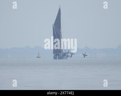 Sheerness, Kent, Großbritannien. Mai 2024. Wetter in Großbritannien: Thames Barge Edith May an einem ruhigen Morgen in Sheerness, Kent. Quelle: James Bell/Alamy Live News Stockfoto