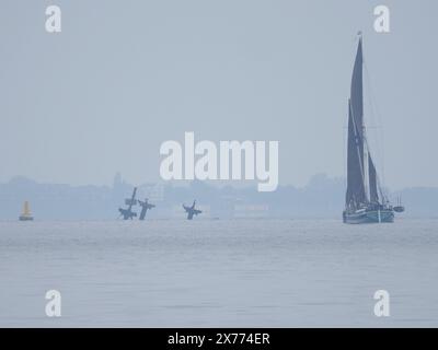Sheerness, Kent, Großbritannien. Mai 2024. Wetter in Großbritannien: Thames Barge Edith May an einem ruhigen Morgen in Sheerness, Kent. Quelle: James Bell/Alamy Live News Stockfoto