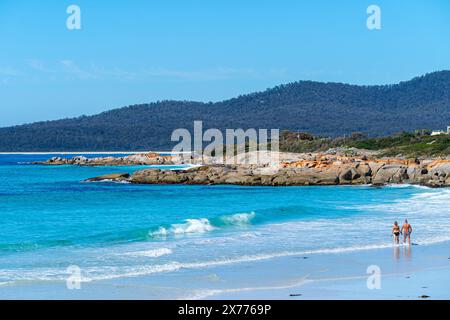 Suicide Beach, Bay of Fires, Tasmanien Stockfoto