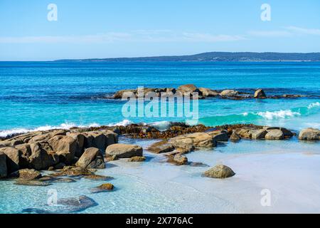 Suicide Beach, Bay of Fires, Tasmanien Stockfoto