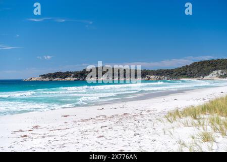 Weißer Sandstrand und blauer Himmel am Swimcart Beach, Bay of Fires, Tasmanien Stockfoto