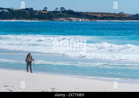 Einsamer Wanderer am weißen Sandstrand, Swimcart Beach, Bay of Fires, Tasmanien Stockfoto