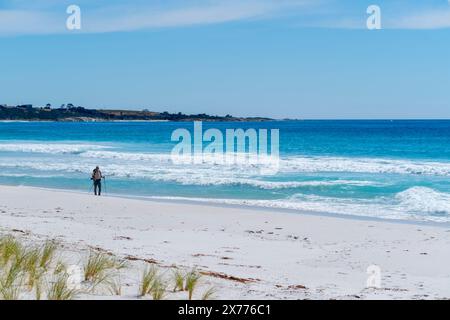 Einsamer Wanderer am weißen Sandstrand, Swimcart Beach, Bay of Fires, Tasmanien Stockfoto