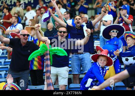 18. Mai 2024; Dens Park, Dundee, Schottland: Schottischer Premiership Football, Dundee gegen Kilmarnock; Kilmarnock-Fans in festlicher Stimmung für das Spiel Stockfoto