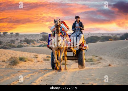 Kamelbesitzer, der auf einem bunten Wagen sitzt und auf einem Pfad im Sand nach Touristen sucht Stockfoto