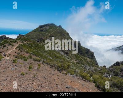 Wanderungen auf gepflasterten Wanderwegen, Wanderweg PR1.2 von Achada do Teixeira zum Berg Pico Ruivo, dem höchsten Gipfel auf Madeira, Portugal Stockfoto