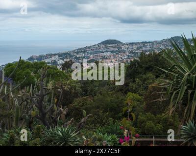 Blick von den berühmten tropischen botanischen Gärten der Stadt Funchal, Madeira, Portugal, wurde Jardim Botanico da Madeira 1960 für die Öffentlichkeit geöffnet. Stockfoto