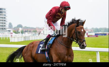 Middle Earth und Oisin Murphy gewinnen den Auftakt am Lockinge Day, die Group 3 Sky Sports Racing Aston Park setzt auf die Trainer John & Thady Gosden und die Besitzer Qatar Bloodstock und Ciaron Maher. Credit JTW equine Images / Alamy Live News Stockfoto