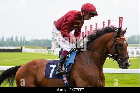 Middle Earth und Oisin Murphy gewinnen den Auftakt am Lockinge Day, die Group 3 Sky Sports Racing Aston Park setzt auf die Trainer John & Thady Gosden und die Besitzer Qatar Bloodstock und Ciaron Maher. Credit JTW equine Images / Alamy Live News Stockfoto