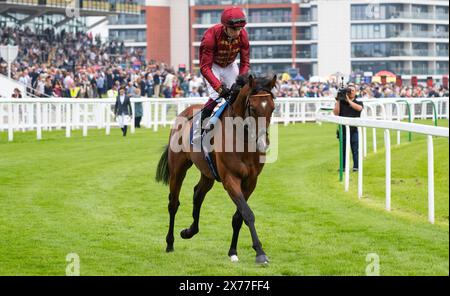 Middle Earth und Oisin Murphy gewinnen den Auftakt am Lockinge Day, die Group 3 Sky Sports Racing Aston Park setzt auf die Trainer John & Thady Gosden und die Besitzer Qatar Bloodstock und Ciaron Maher. Credit JTW equine Images / Alamy Live News Stockfoto