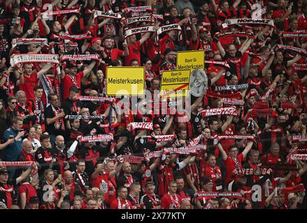 Leverkusen, Deutschland. Mai 2024. Fußball, Bundesliga, Bayer Leverkusen - FC Augsburg, Spieltag 34, BayArena, Leverkusen Fans halten eine Nachbildung der Meisterschafttrophäe und Schilder mit der Aufschrift „Meisterkusen“. WICHTIGER HINWEIS: Gemäß den Vorschriften der DFL Deutscher Fußball-Liga und des DFB Deutscher Fußball-Bundes ist es verboten, im Stadion und/oder im Spiel aufgenommene Fotografien in Form von sequenziellen Bildern und/oder videoähnlichen Fotoserien zu verwenden oder zu verwenden. Quelle: David Inderlied/dpa/Alamy Live News Stockfoto