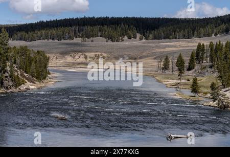 Der Yellowstone River fließt durch das Hayden Valley im Yellowstone National Park. Stockfoto