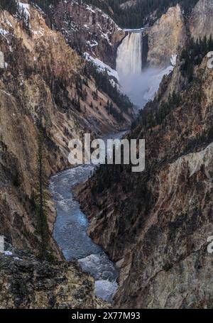 Lower Falls am Grand Canyon des Yellowstone River im Yellowstone National Park. Stockfoto