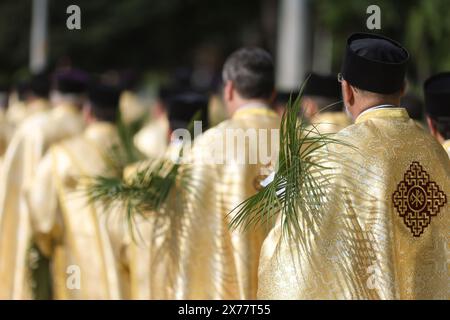 Rumänische orthodoxe Priester, die Palmblätter halten, gehen während einer Palmensonntag-Wallfahrt durch die Straßen von Bukarest. Stockfoto