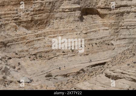 Wanderer auf einem Pfad unterhalb der beeindruckenden Klippen des Canyon ein Avdat in der Wüste Negev, Israel. Stockfoto