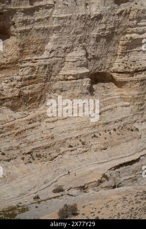 Wanderer auf einem Pfad unterhalb der beeindruckenden Klippen des Canyon ein Avdat in der Wüste Negev, Israel. Stockfoto