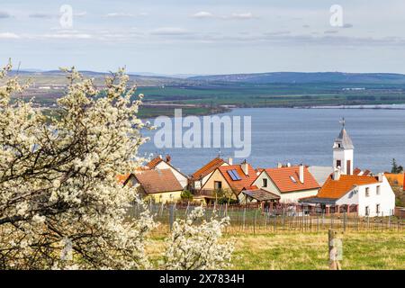 Das Dorf Pawlow mit Weinbergen über dem Nove Mlyny Stausee in Südmähren, Tschechien, Europa. Stockfoto